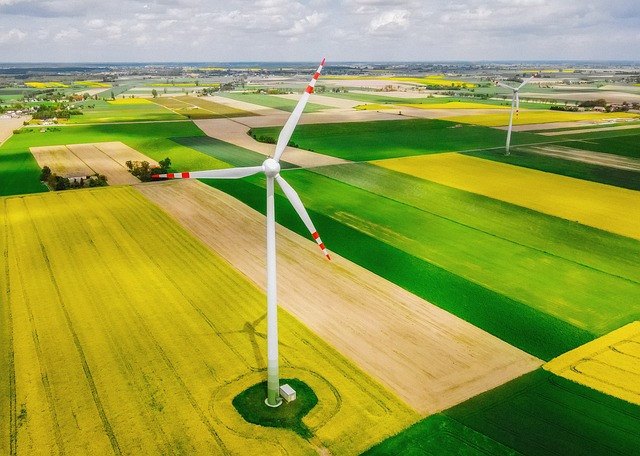 Vindkraft og biodiversitet