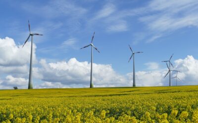 Vindkraftens rolle i fornybar energi